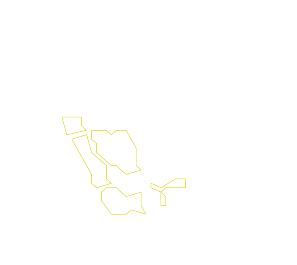 Daksegment ingezoomd met contourlijnen en structuurweergave