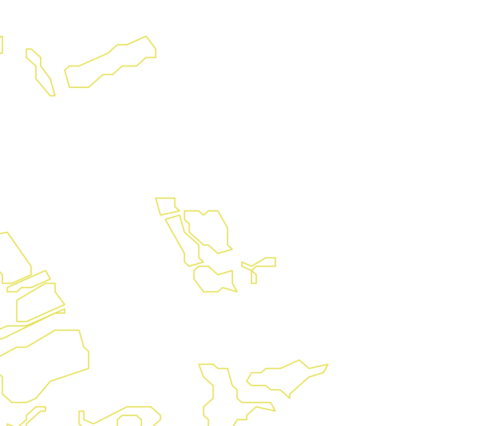 Daksegment met contourlijnen en structuurweergave