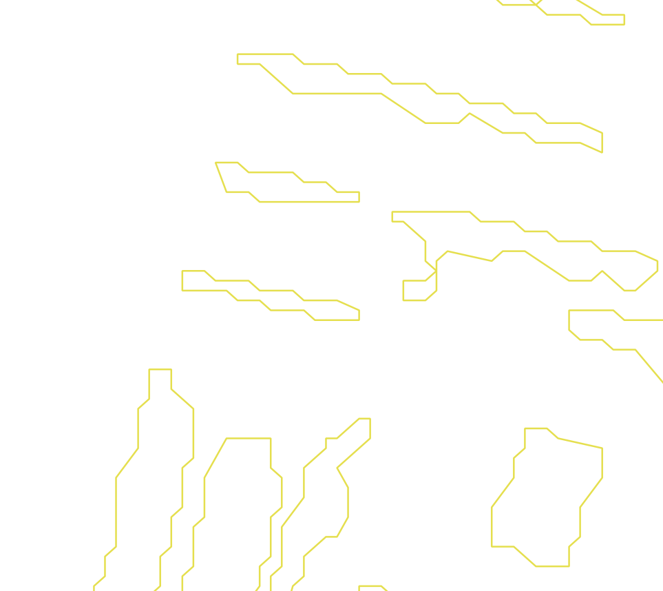 Daksegment ingezoomd met contourlijnen en structuurweergave
