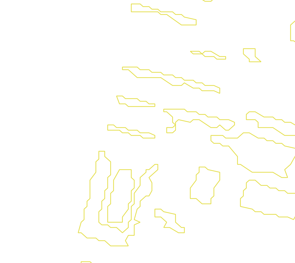 Daksegment met contourlijnen en structuurweergave