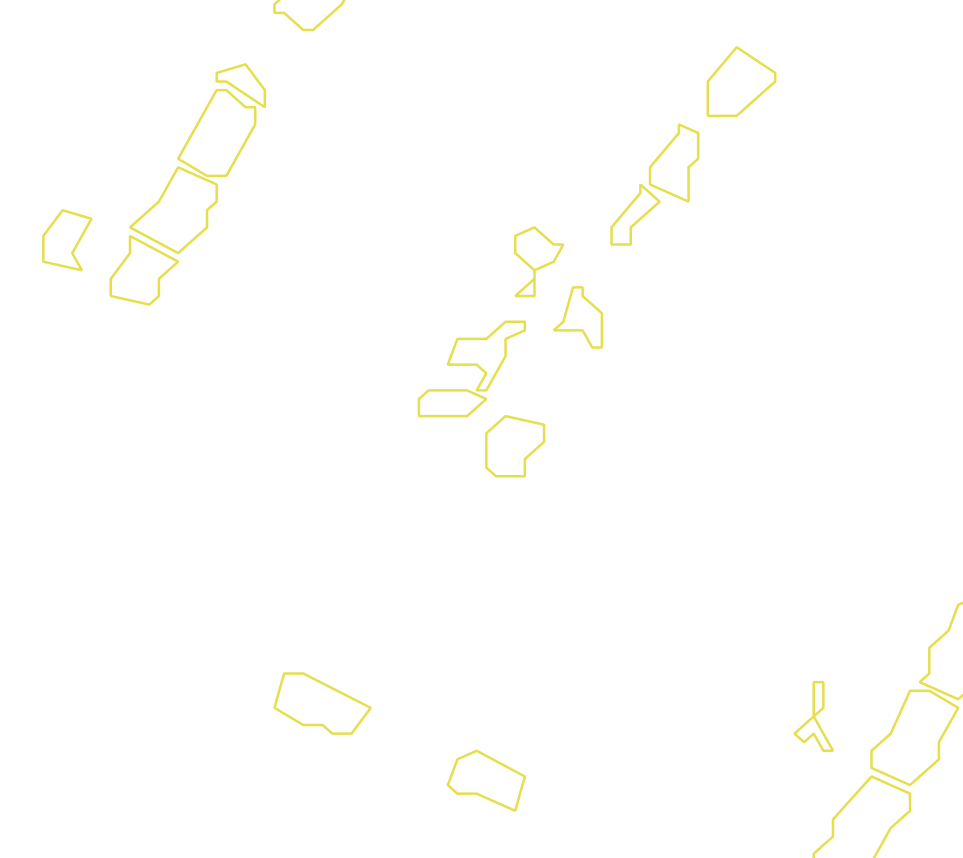 Daksegment met contourlijnen en structuurweergave