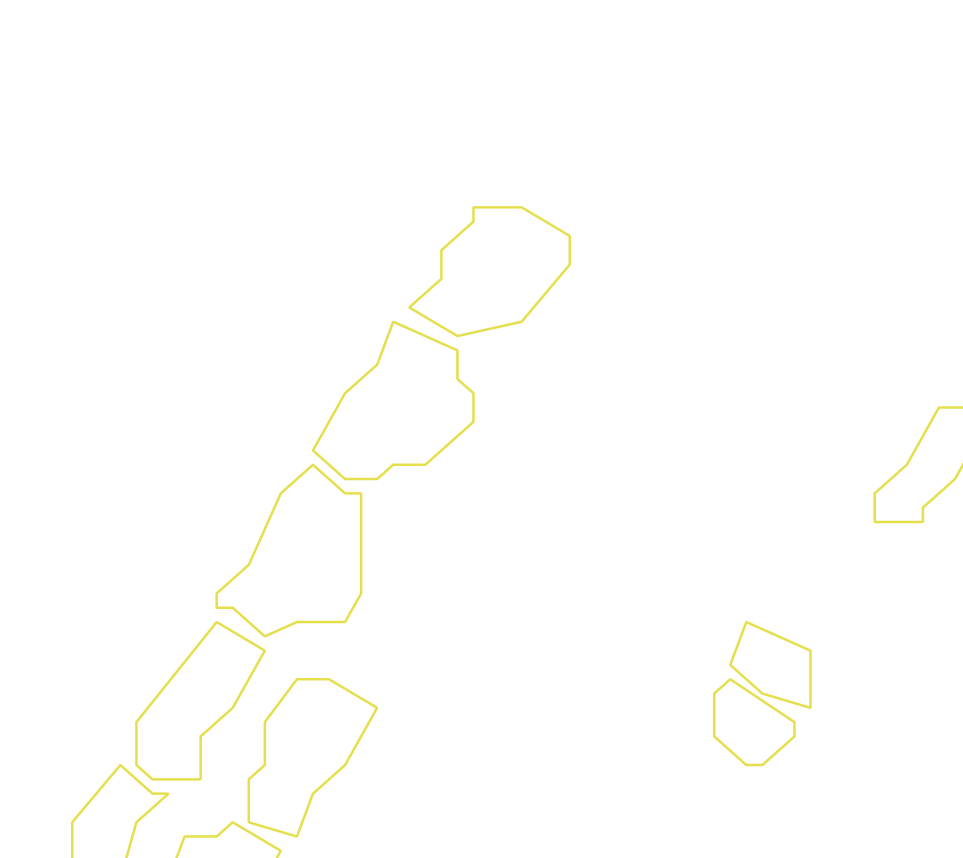 Daksegment ingezoomd met contourlijnen en structuurweergave