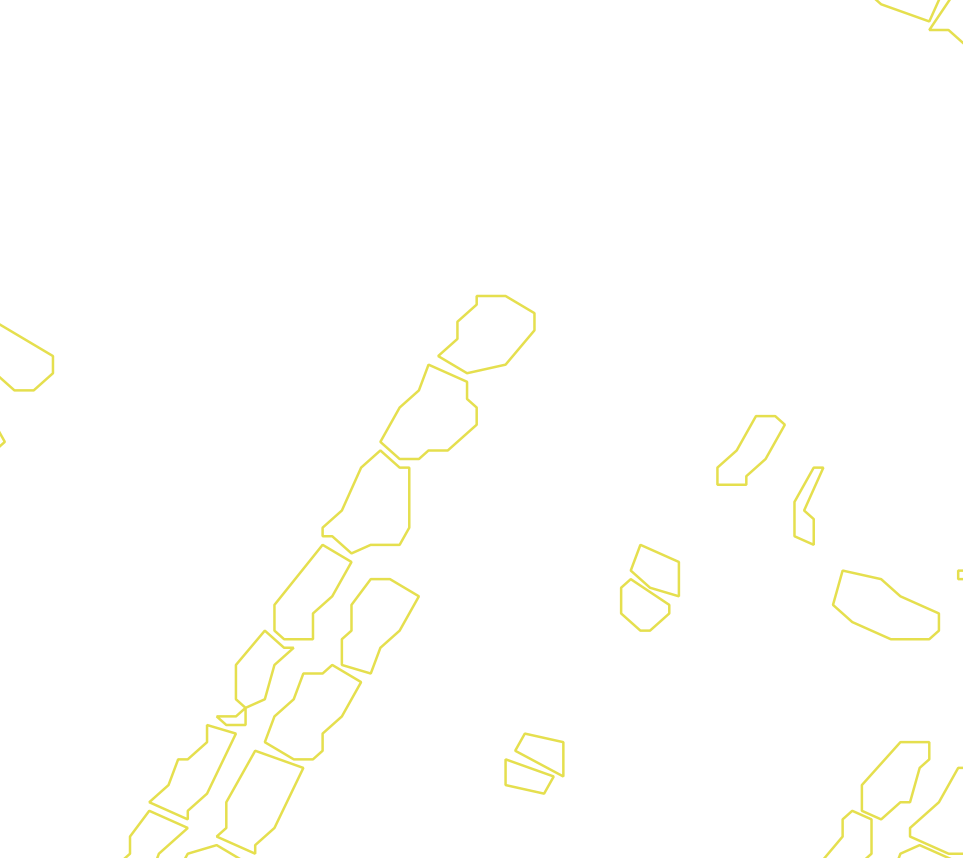 Daksegment met contourlijnen en structuurweergave