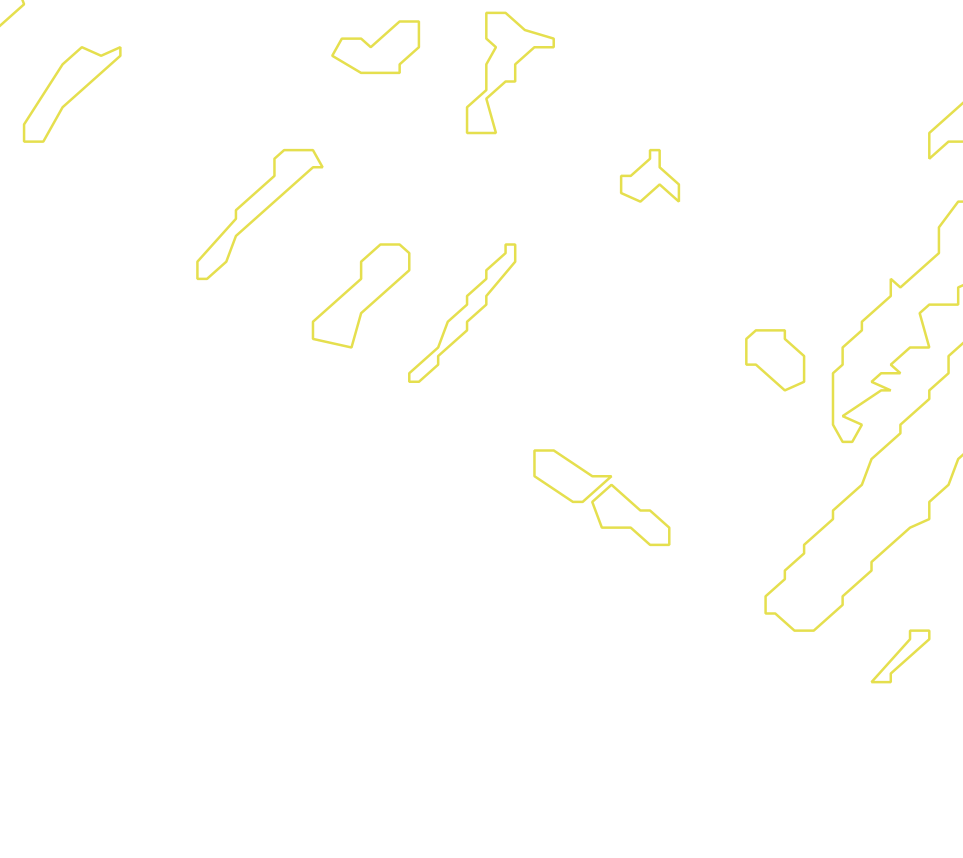 Daksegment met contourlijnen en structuurweergave