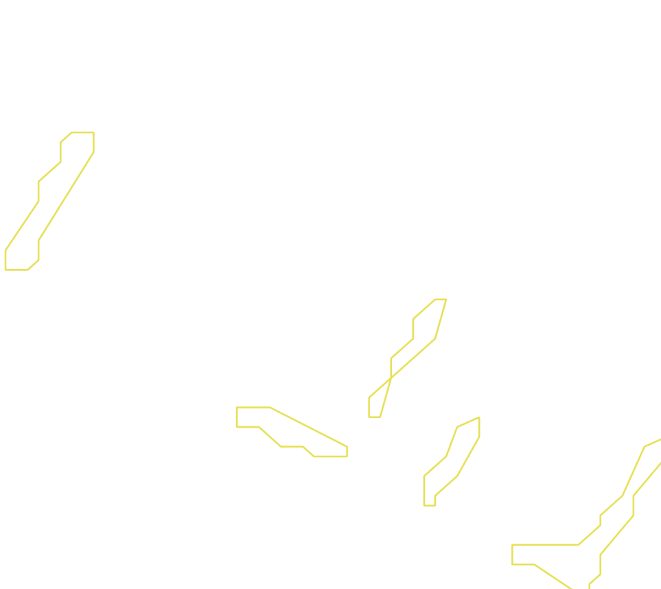 Daksegment ingezoomd met contourlijnen en structuurweergave