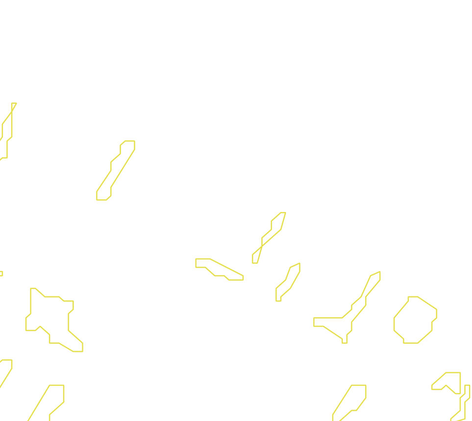 Daksegment met contourlijnen en structuurweergave