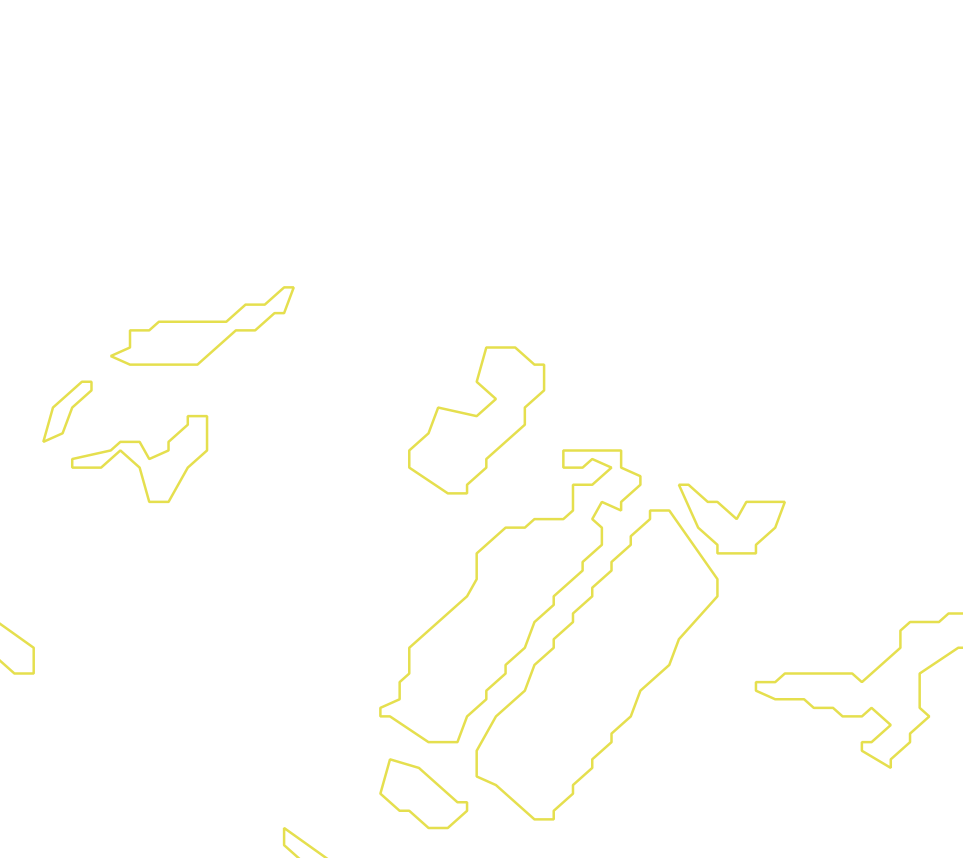 Daksegment met contourlijnen en structuurweergave