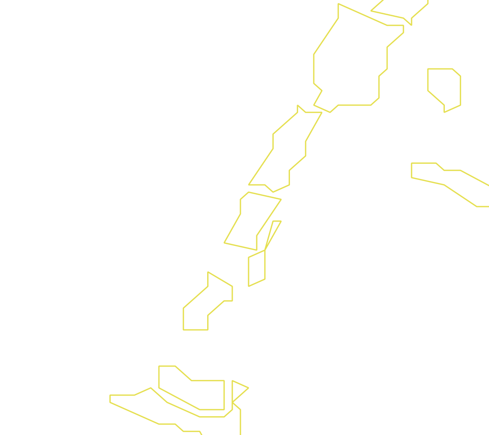 Daksegment ingezoomd met contourlijnen en structuurweergave