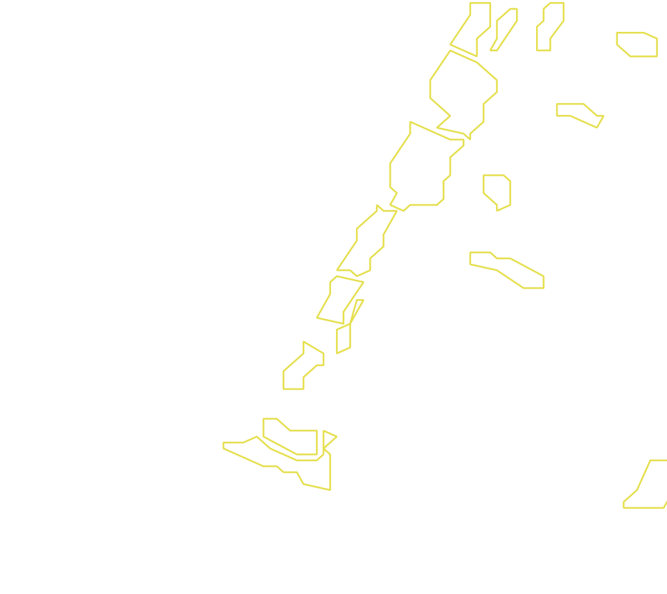 Daksegment met contourlijnen en structuurweergave