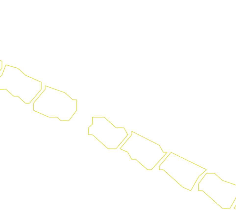 Daksegment ingezoomd met contourlijnen en structuurweergave