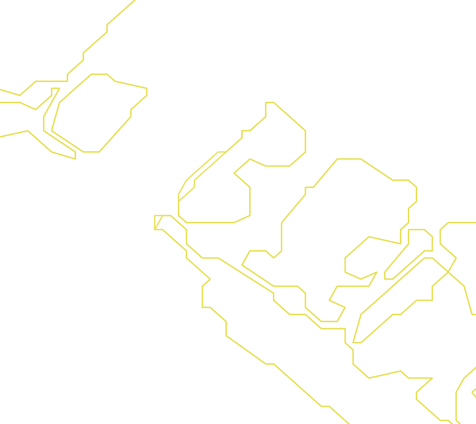 Daksegment ingezoomd met contourlijnen en structuurweergave