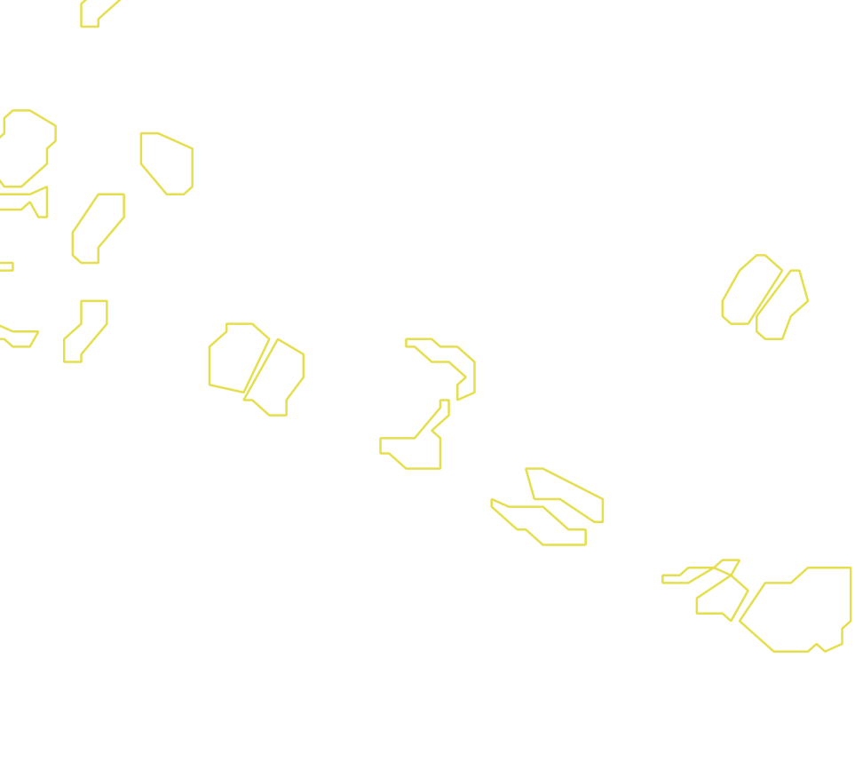 Daksegment met contourlijnen en structuurweergave