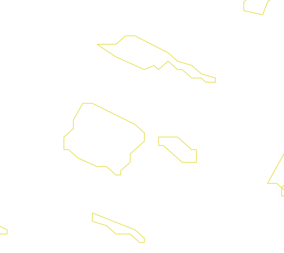 Daksegment ingezoomd met contourlijnen en structuurweergave
