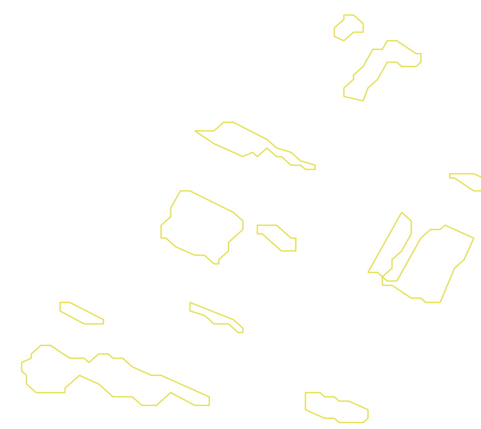 Daksegment met contourlijnen en structuurweergave
