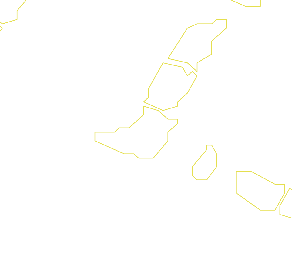 Daksegment ingezoomd met contourlijnen en structuurweergave