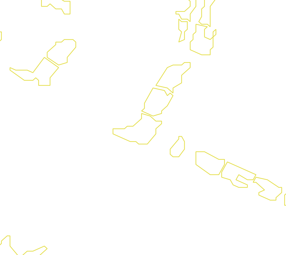 Daksegment met contourlijnen en structuurweergave