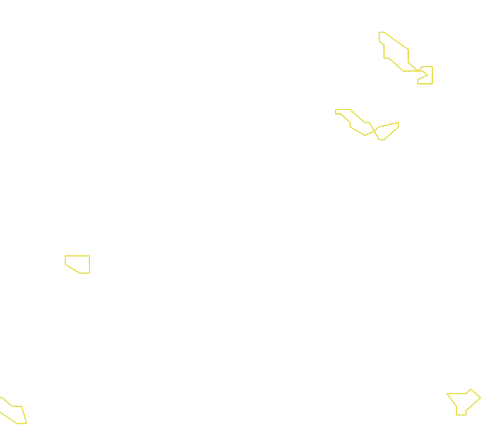 Daksegment met contourlijnen en structuurweergave