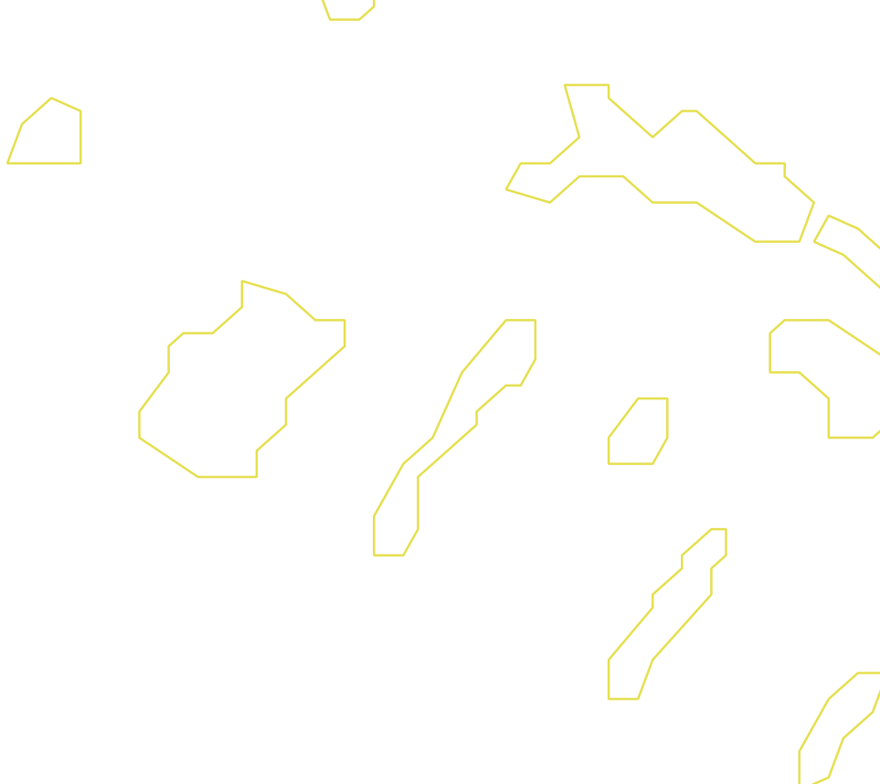 Daksegment ingezoomd met contourlijnen en structuurweergave