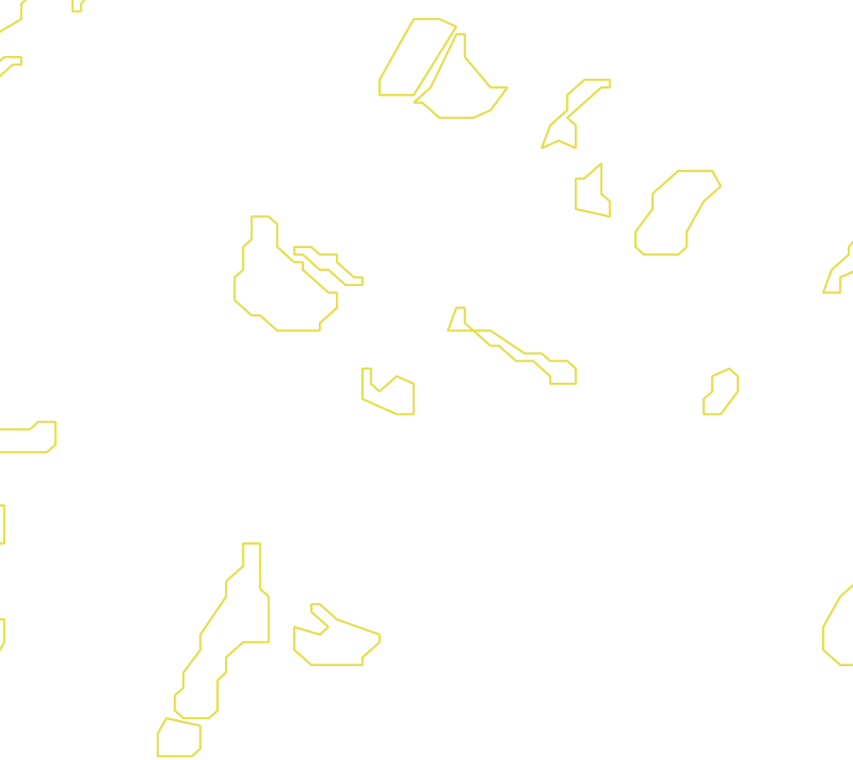 Daksegment met contourlijnen en structuurweergave
