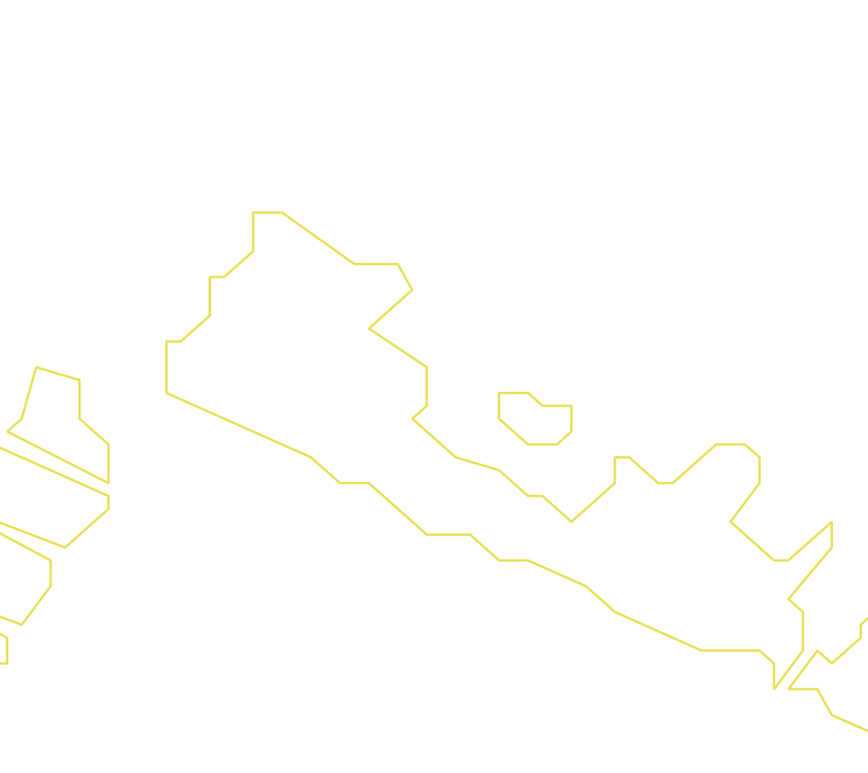 Daksegment ingezoomd met contourlijnen en structuurweergave
