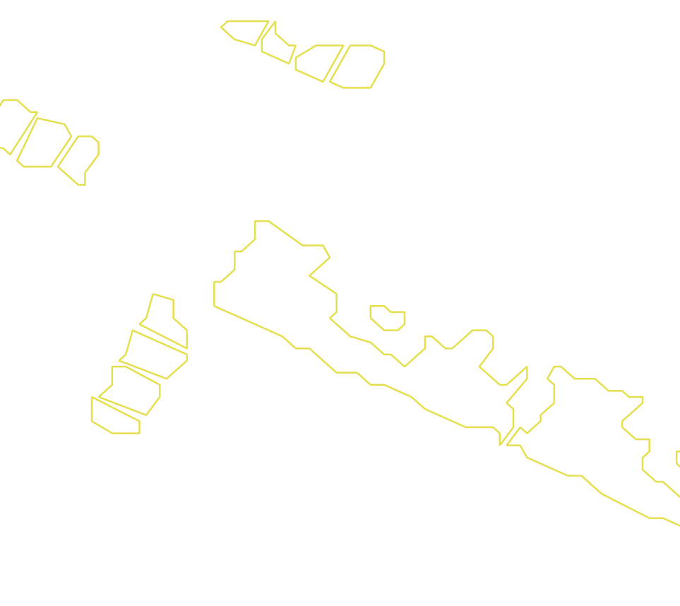 Daksegment met contourlijnen en structuurweergave