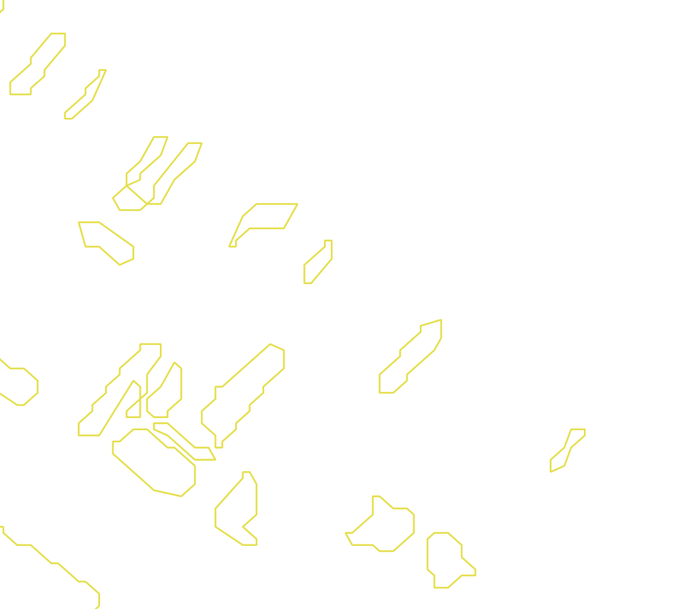 Daksegment met contourlijnen en structuurweergave
