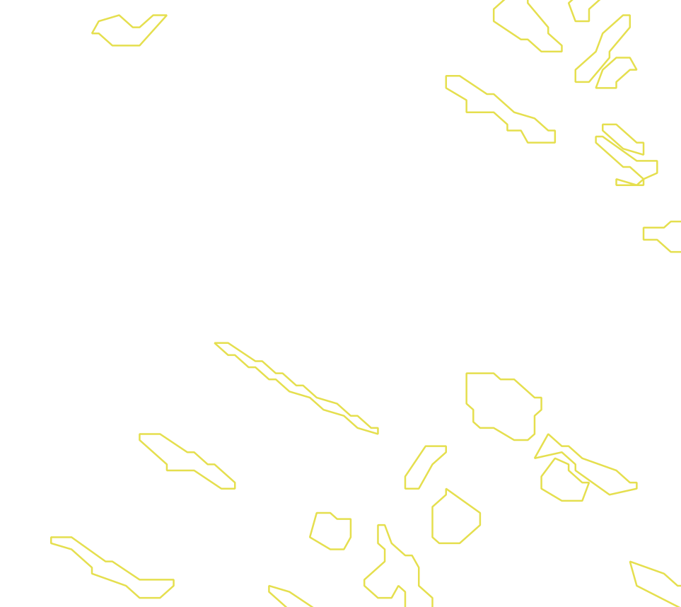 Daksegment met contourlijnen en structuurweergave