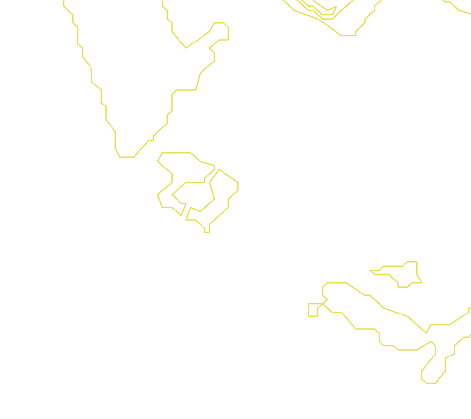 Daksegment met contourlijnen en structuurweergave