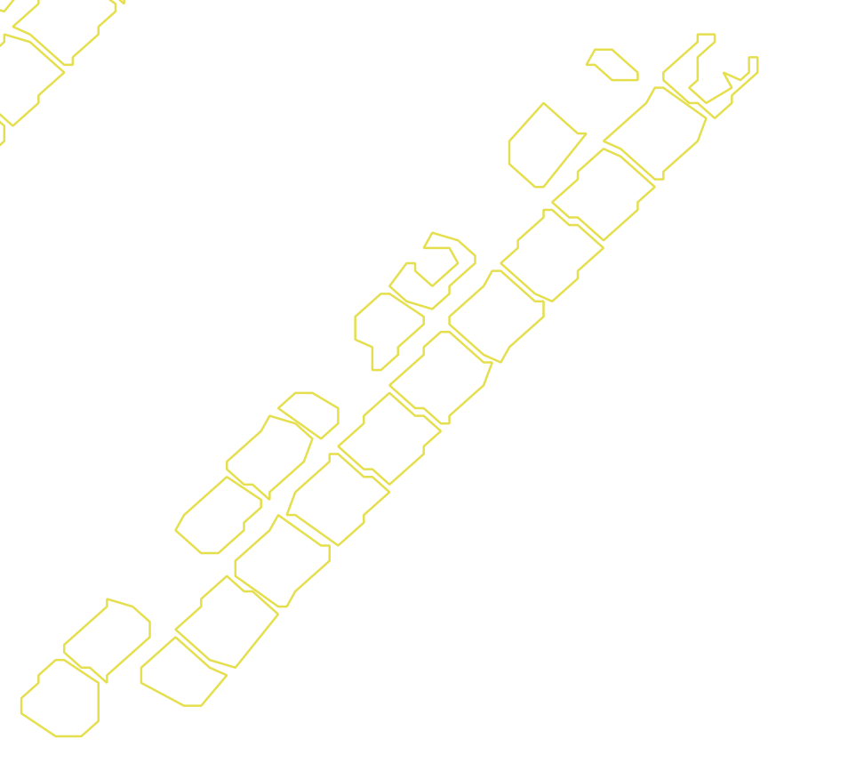 Daksegment met contourlijnen en structuurweergave