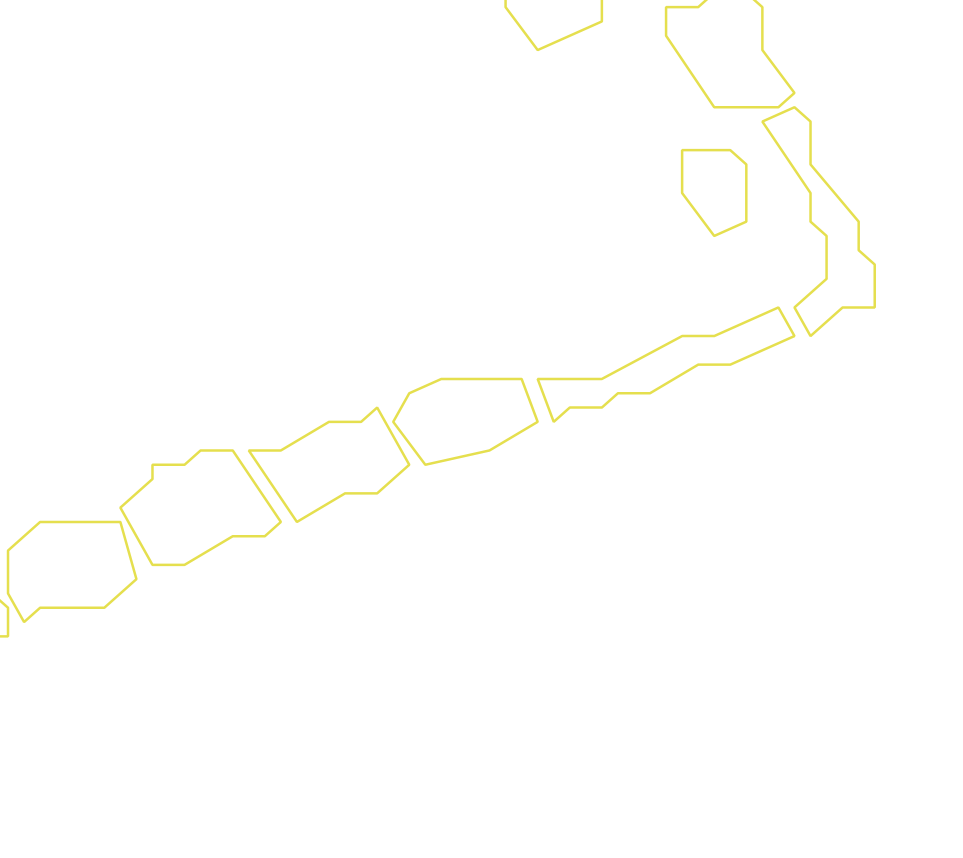 Daksegment ingezoomd met contourlijnen en structuurweergave