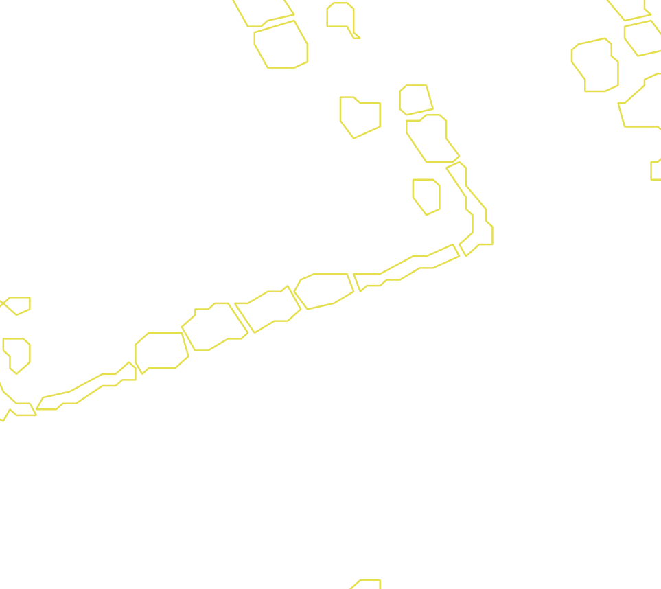 Daksegment met contourlijnen en structuurweergave