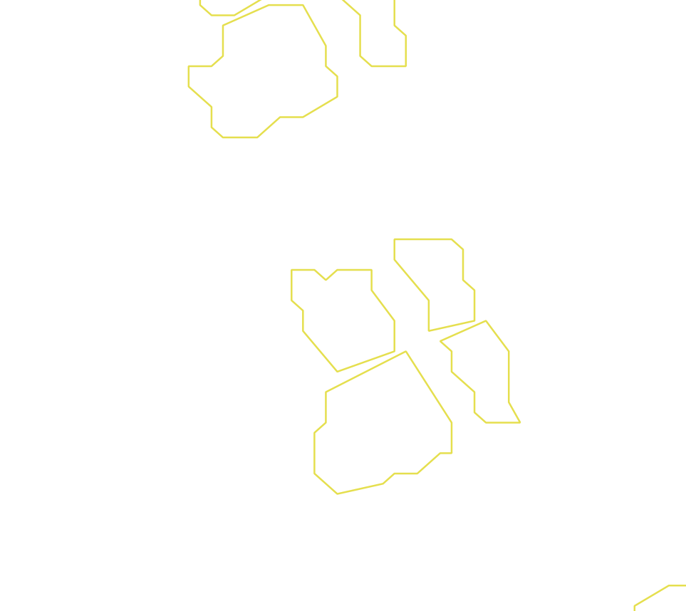 Daksegment ingezoomd met contourlijnen en structuurweergave