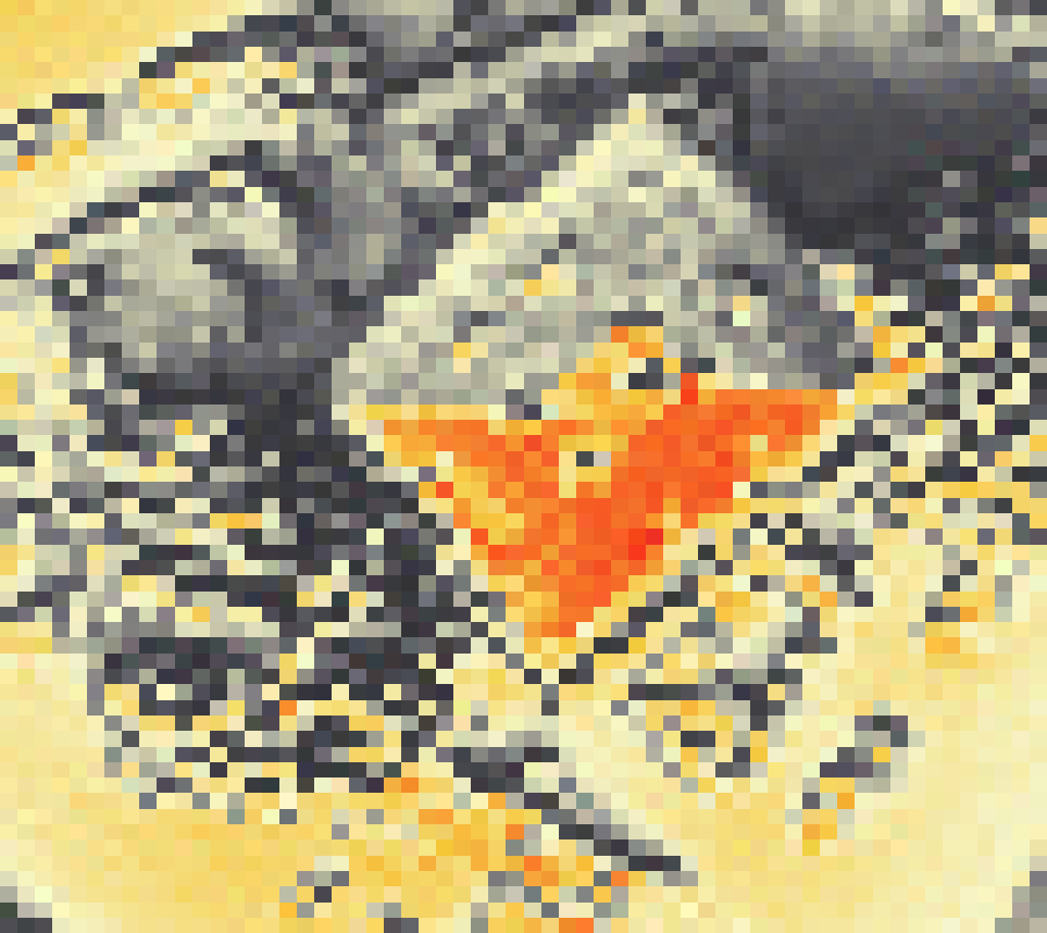 PV-irradiatie op daksegment ingezoomd met intensiteitsverdeling van zonlicht