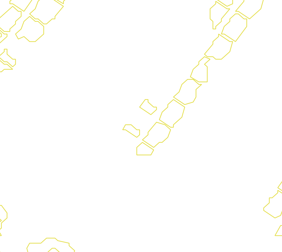 Daksegment met contourlijnen en structuurweergave