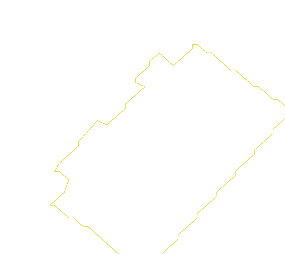 Daksegment ingezoomd met contourlijnen en structuurweergave