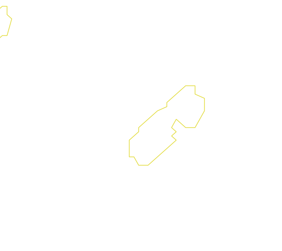 Daksegment ingezoomd met contourlijnen en structuurweergave