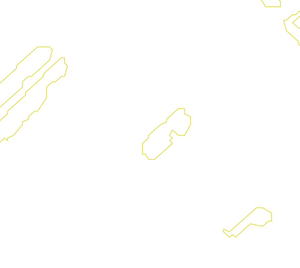 Daksegment met contourlijnen en structuurweergave