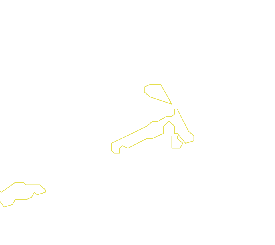 Daksegment met contourlijnen en structuurweergave