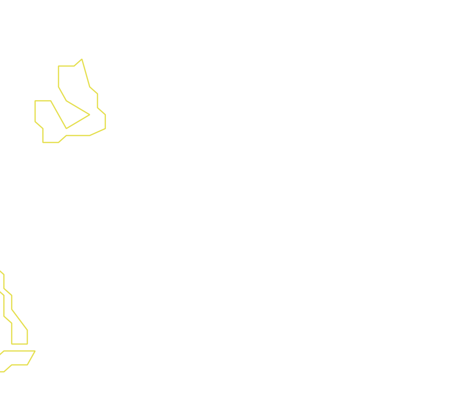 Daksegment ingezoomd met contourlijnen en structuurweergave