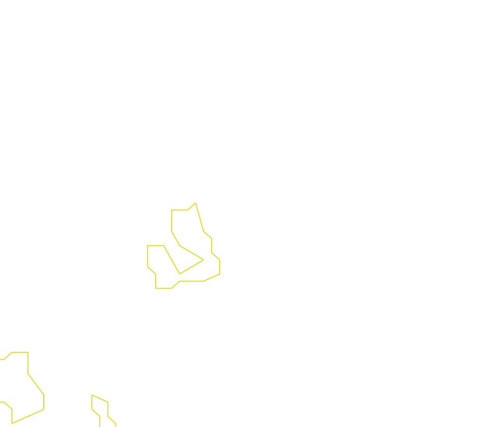 Daksegment ingezoomd met contourlijnen en structuurweergave