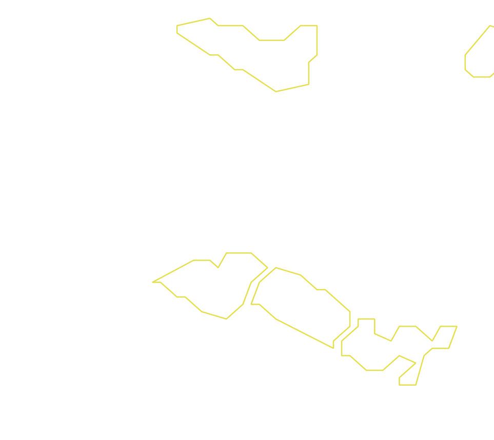 Daksegment ingezoomd met contourlijnen en structuurweergave