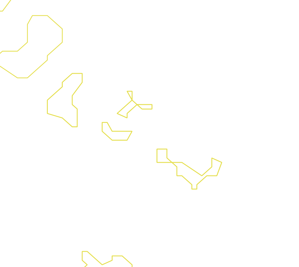 Daksegment ingezoomd met contourlijnen en structuurweergave