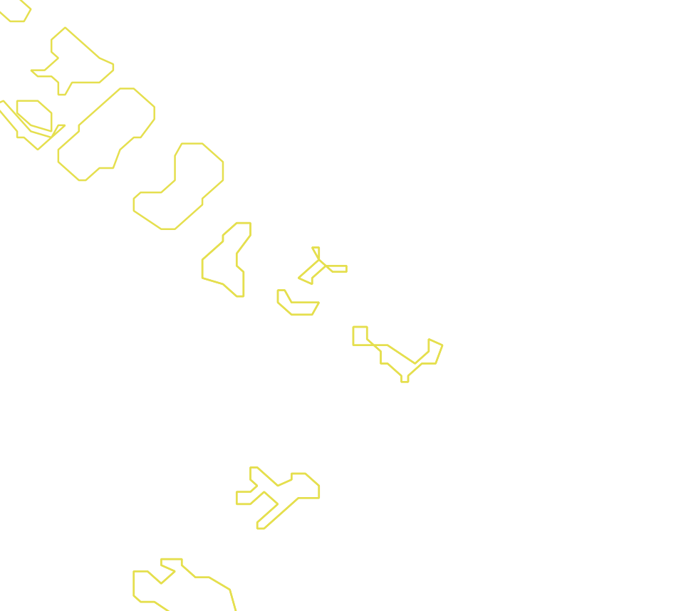 Daksegment met contourlijnen en structuurweergave
