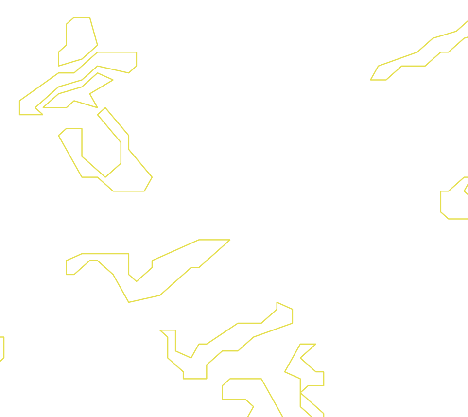 Daksegment ingezoomd met contourlijnen en structuurweergave
