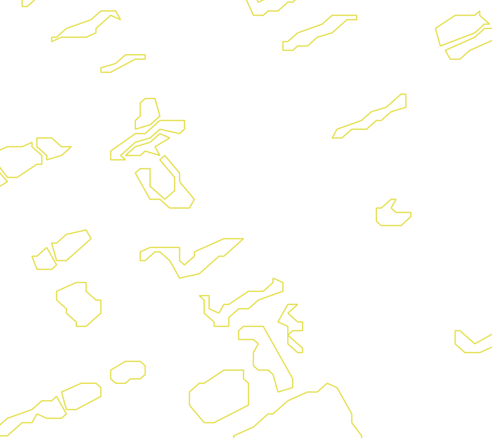 Daksegment met contourlijnen en structuurweergave