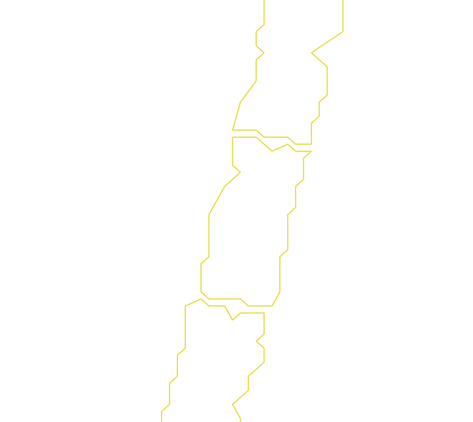 Daksegment ingezoomd met contourlijnen en structuurweergave