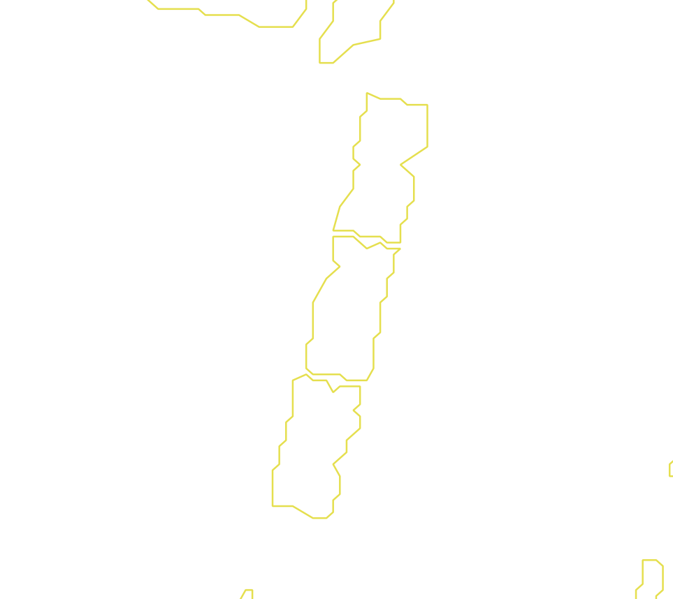 Daksegment met contourlijnen en structuurweergave