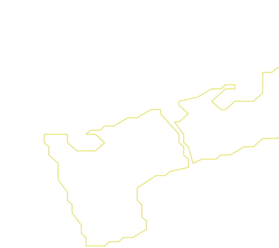 Daksegment ingezoomd met contourlijnen en structuurweergave