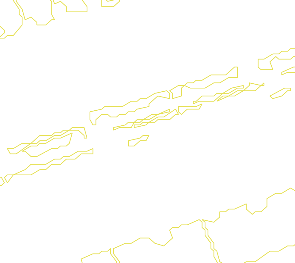 Daksegment met contourlijnen en structuurweergave