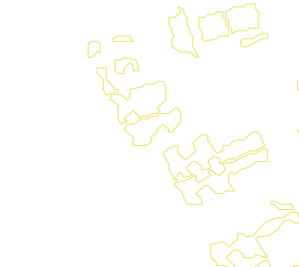 Daksegment met contourlijnen en structuurweergave